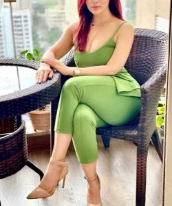 Delhi Escort//7982220255//Hotel Services