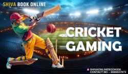 Shiva Online ID: Exploring the Latest Updates and Features for 2025 - Your Ultimate Guide to Secure Cricket Platforms.