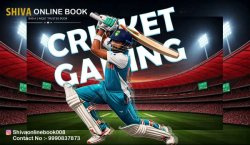 Top Service Providers for Online Sports Betting in India: A Look at Shiva Online ID.
